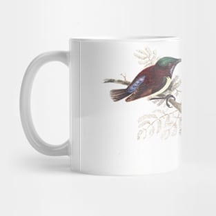 Purple Sunbirds by Elizabeth Gwillim Mug